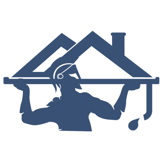 gutter cleaning
